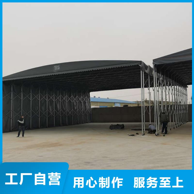 电动遮阳棚诚信厂家