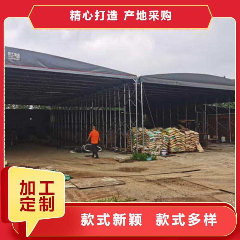 电动雨棚订制