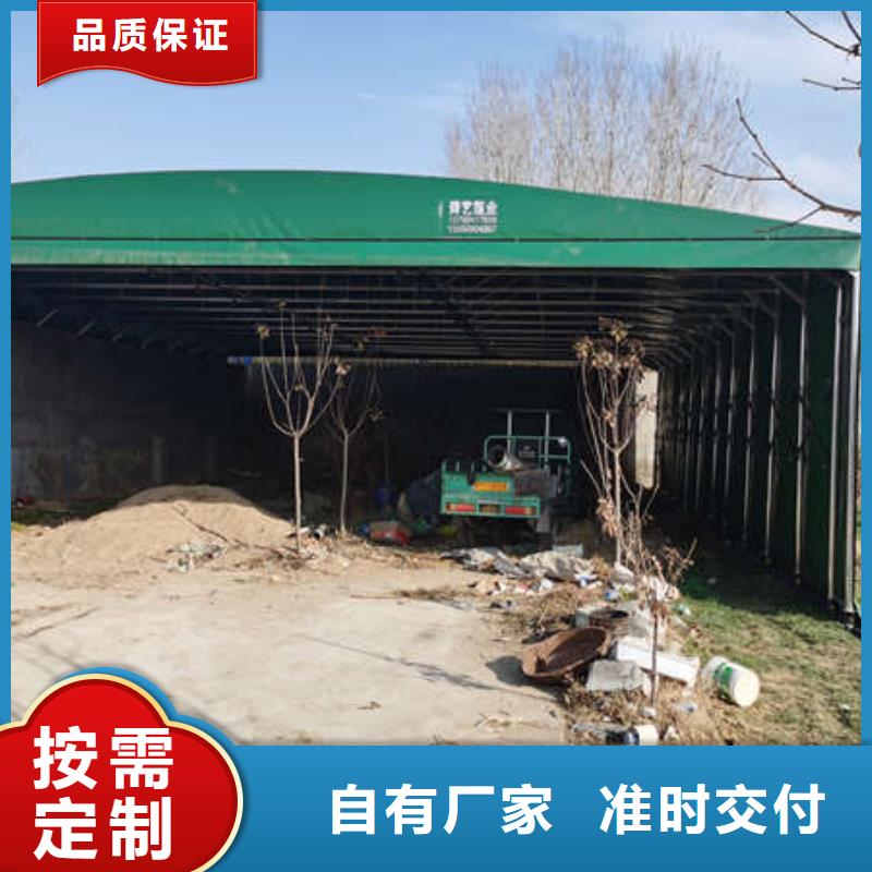 电动雨棚性价比高