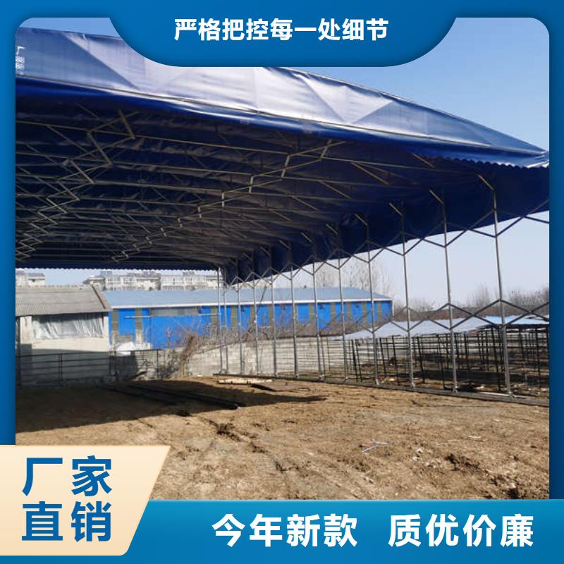 万宁市烧烤大排档帐篷施工