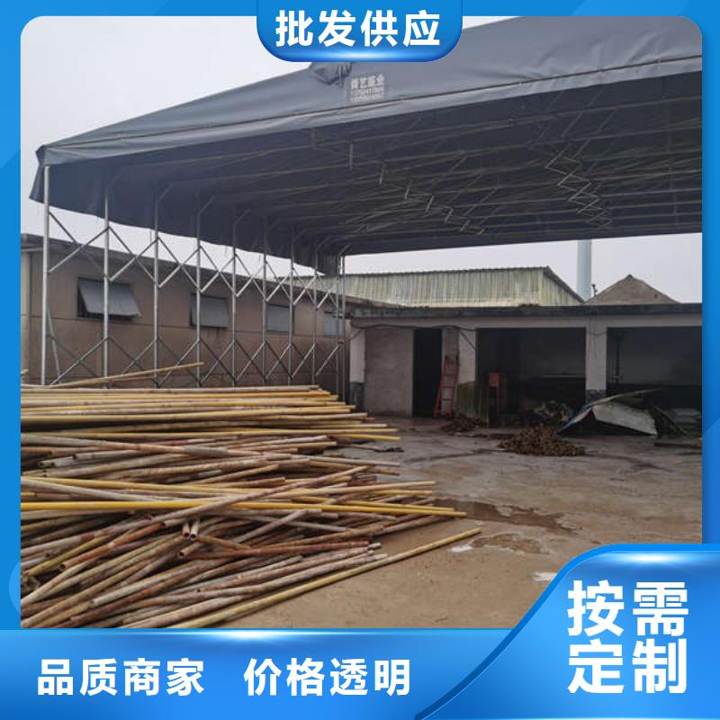 雨棚_停车棚满足客户需求