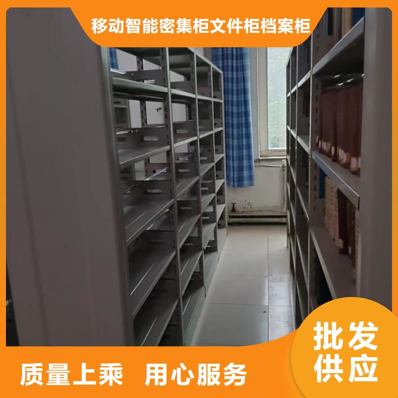 铸造辉煌【泽信】香樟木密集架