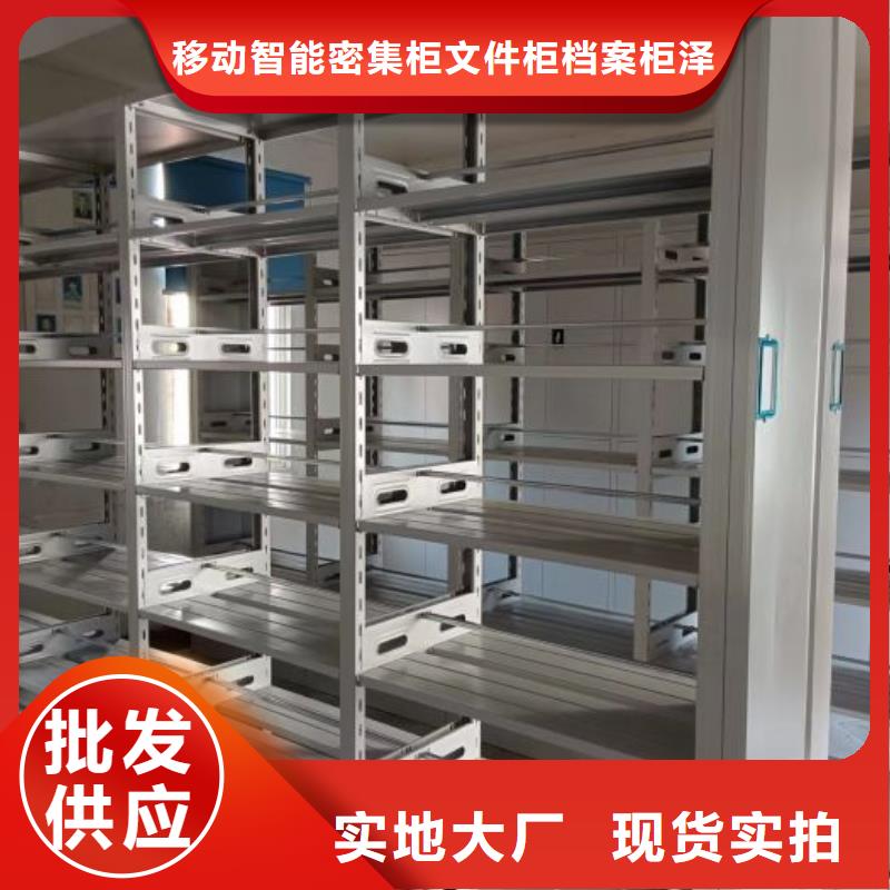 厂家加工【泽信】放档案的柜子