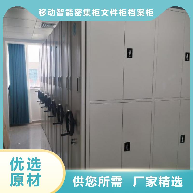 铸造辉煌【泽信】香樟木密集架