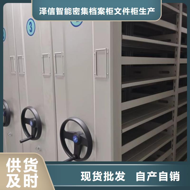 咨询服务【泽信】防磁密集架