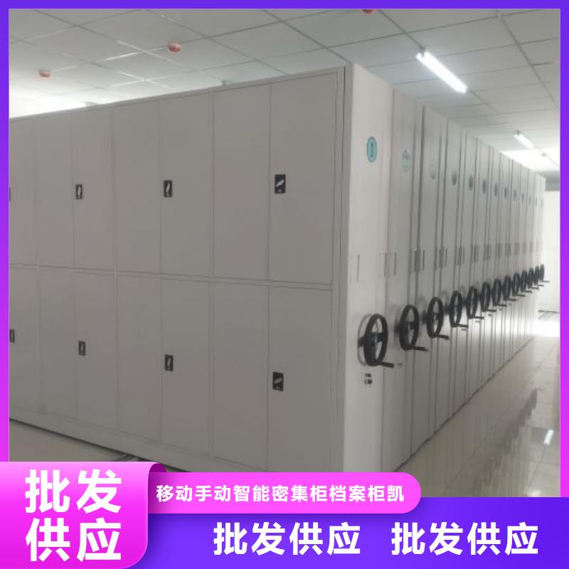 勇创造高【凯美】物证密集架