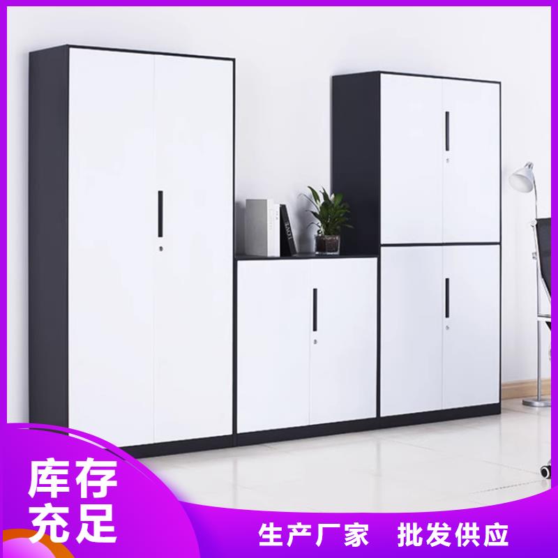 文件柜更衣柜档案密集架做工细致