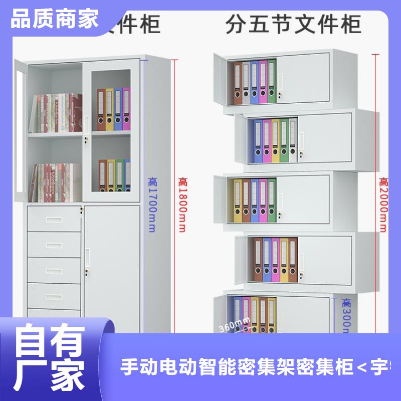文件柜更衣柜档案密集架做工细致
