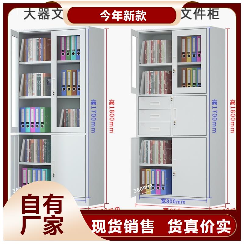 文件柜更衣柜档案密集架做工细致