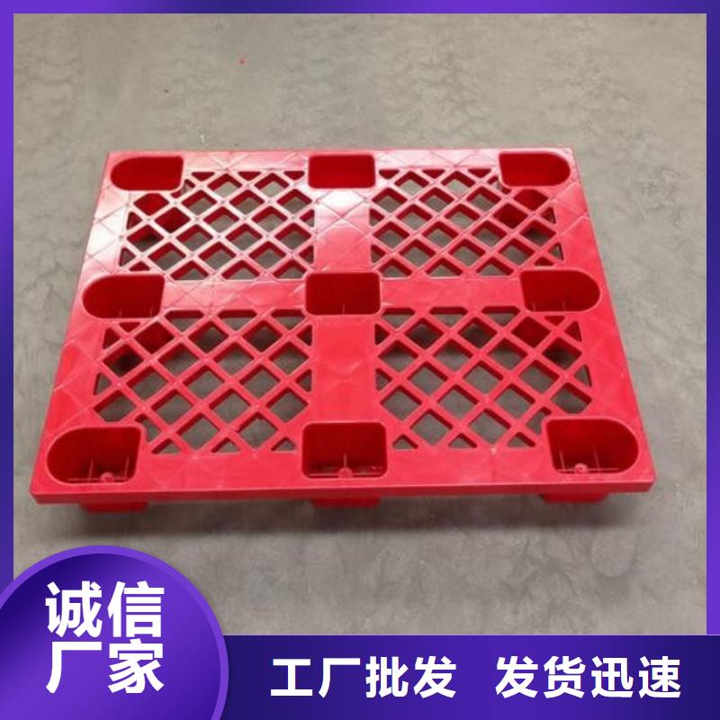 尼龙套视频-尼龙套(铭诺)覆盖地域云南省普洱市西双版纳|昭通|文山|红河