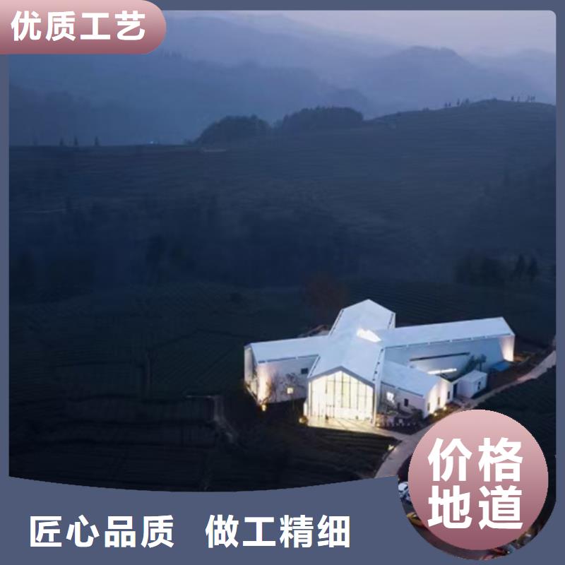 狮子山区农村楼房设计图