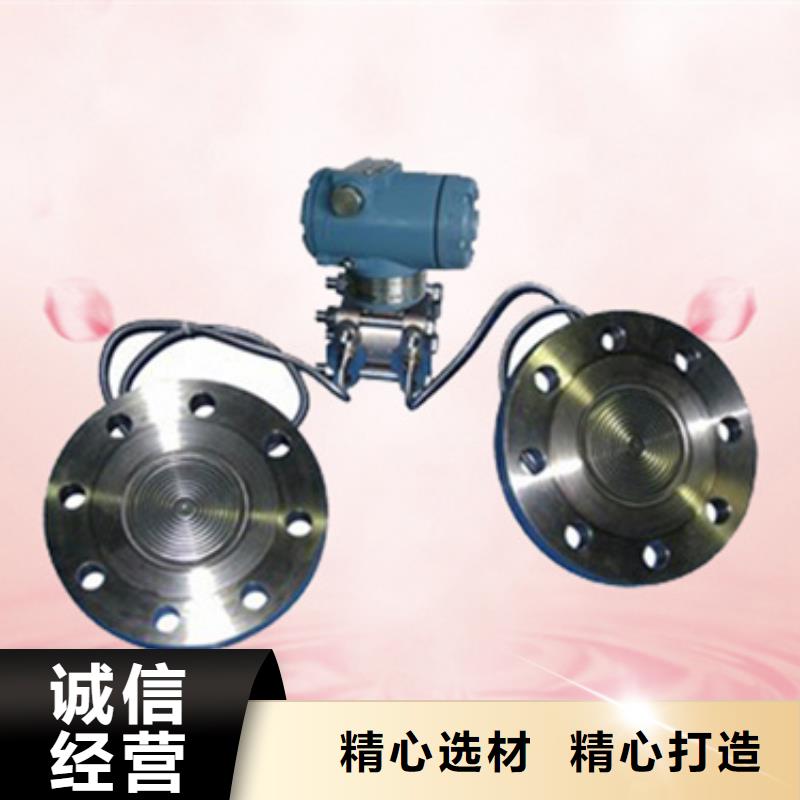 SWP-ASR106-1-0/AO1-实力厂家