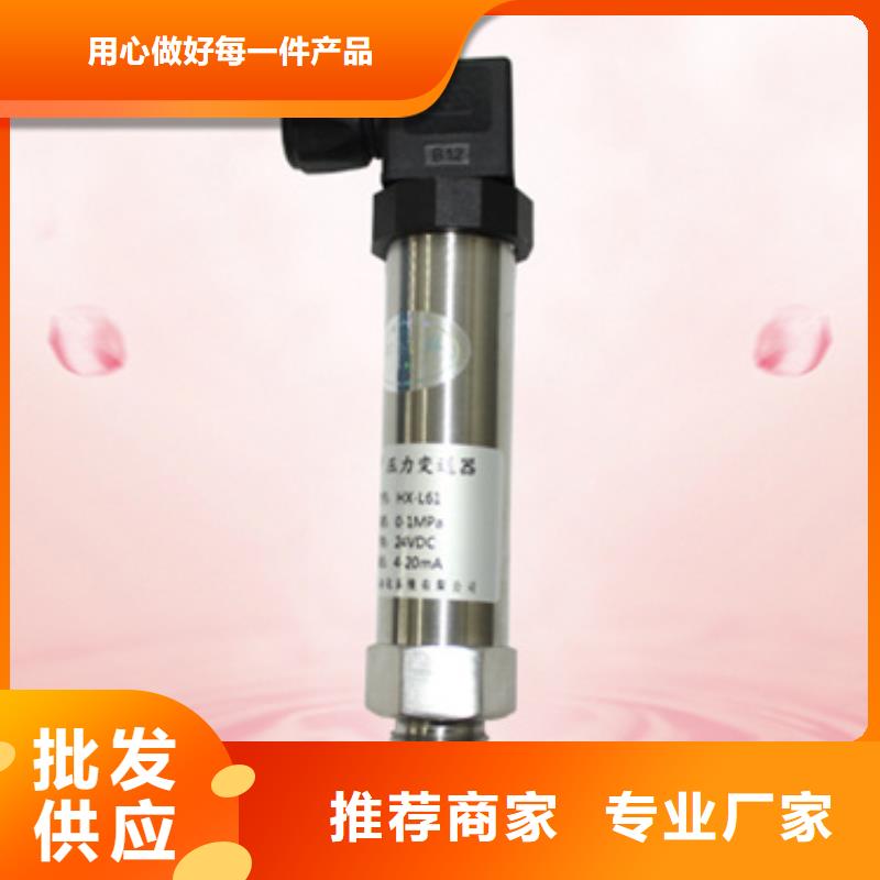 PX6003I批发零售-定做_索正自动化仪表