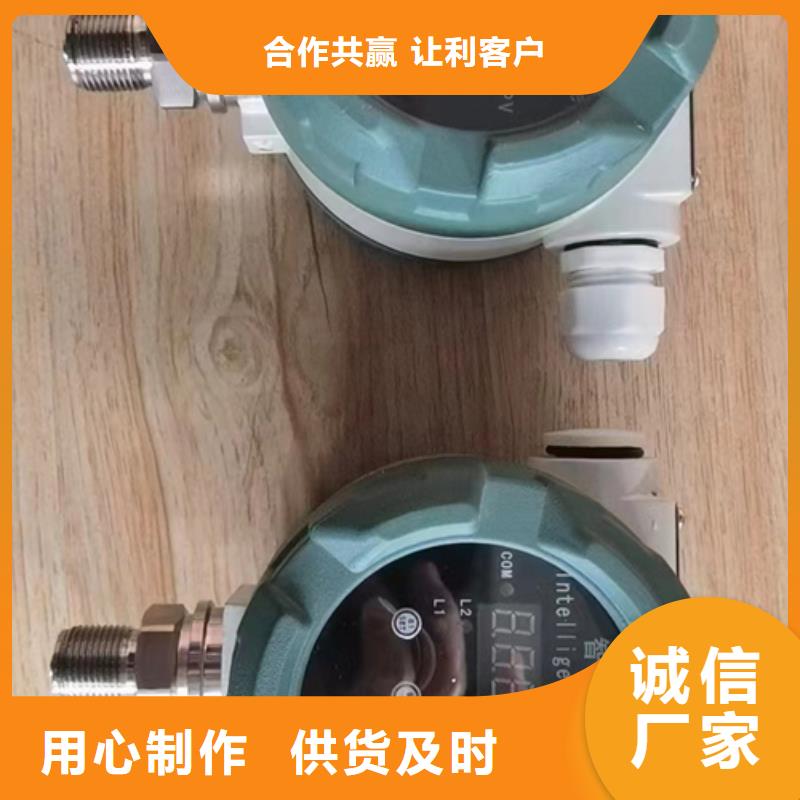 PX6003I批发零售-定做_索正自动化仪表