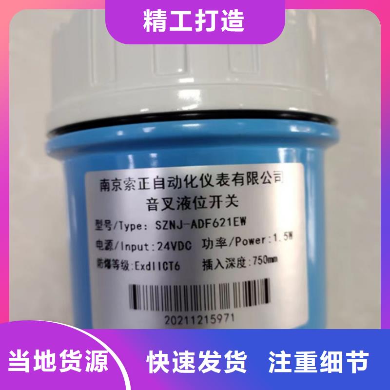 现货供应_PDS873GH-1EA1DE-P-05AB-42HS1-CBA/G61品牌:索正自动化仪表