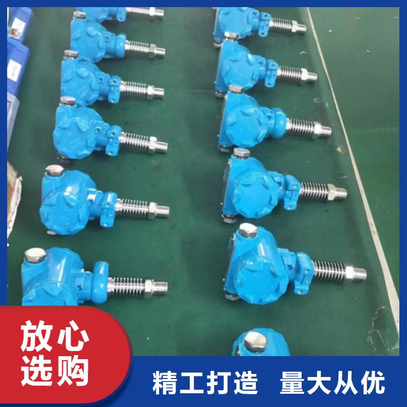 热电偶双金属温度计厂家按需设计