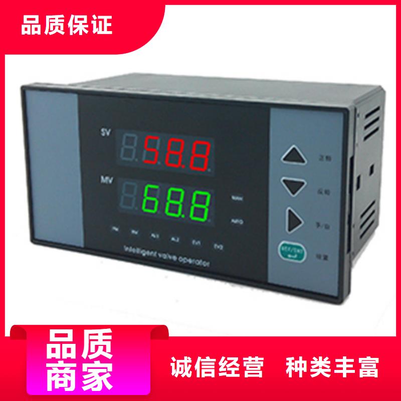 热电偶流量积算仪当地货源