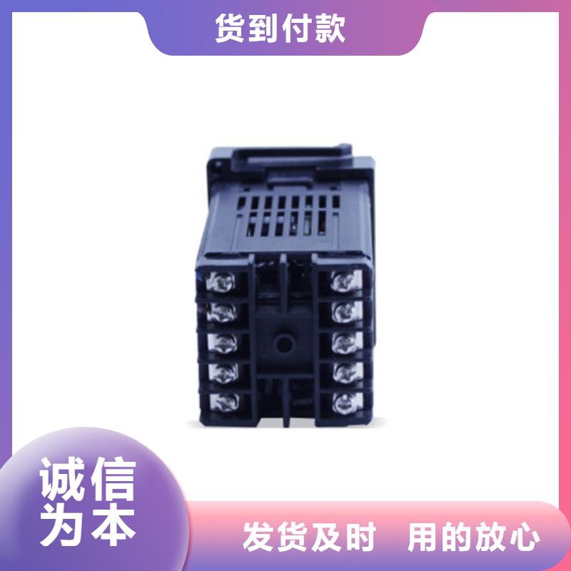 氧化锆探头ROYTEC211大型厂家