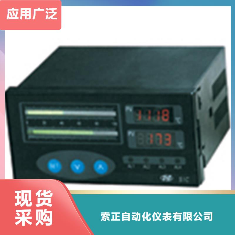 热电偶氧化锆氧量分析仪用心服务