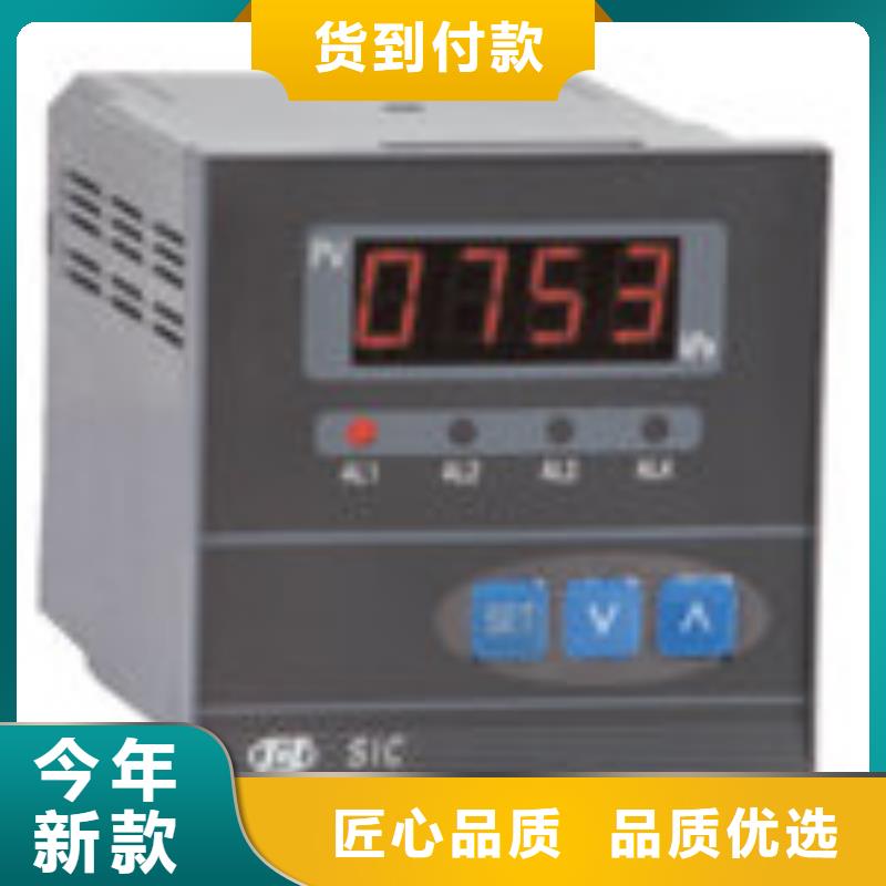 热电偶智能数字显示调节仪厂家长期供应