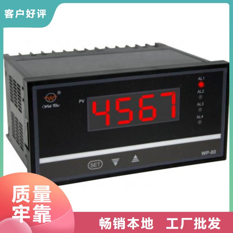 热电偶-温度仪表厂家厂家直销省心省钱