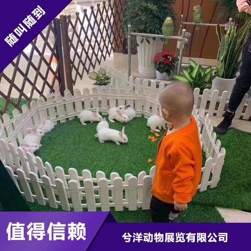 马戏团/羊驼美人鱼表演质优价廉