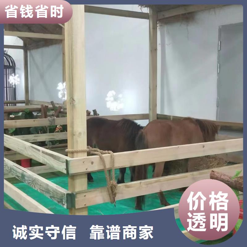 马戏团/羊驼美人鱼表演专业品质