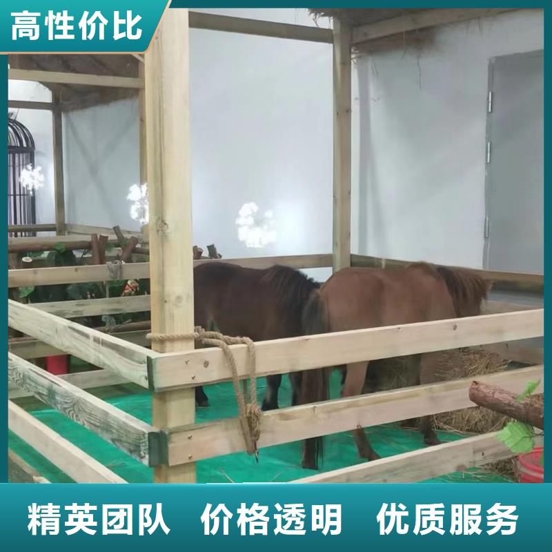 动物展出租