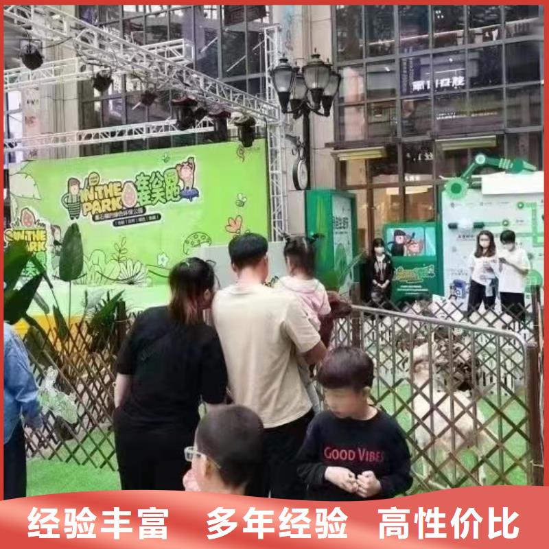 动物租赁一手资源