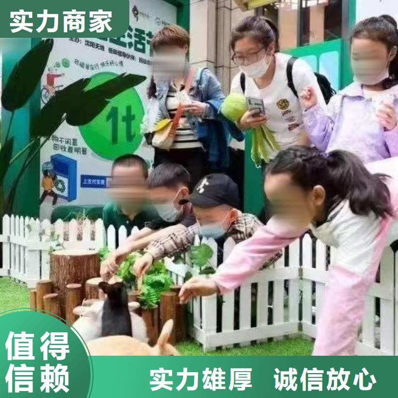 马戏团/羊驼海狮表演出租解决方案