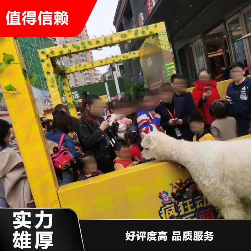马戏团表演-视频-马戏团表演|云南省曲靖市|陆良|会泽|文山|大理|西双版纳|临沧|怒江