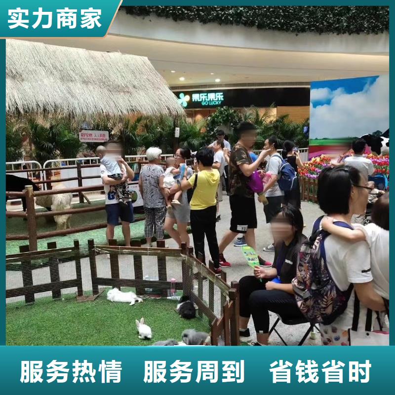 马戏团/羊驼-海洋展租赁精英团队