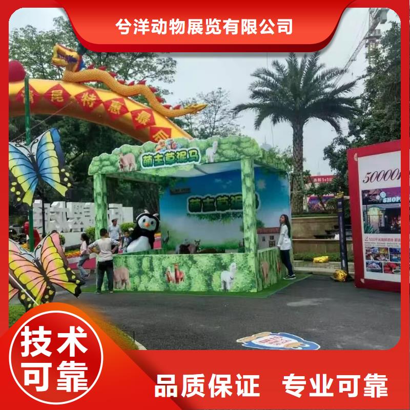动物展出租