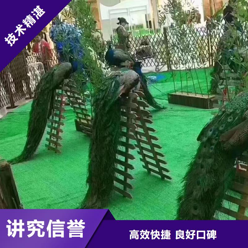 马戏团/羊驼小马戏表演出租放心