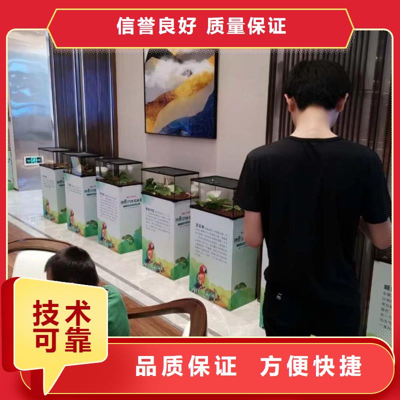 马戏团/羊驼鹦鹉表演租赁明码标价