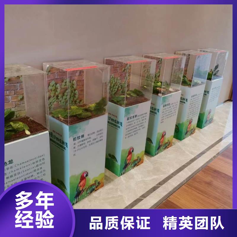 马戏团/羊驼美人鱼表演诚信