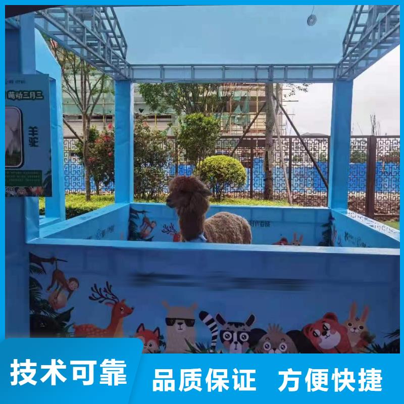 马戏团表演-视频-马戏团表演-安徽省巢湖市池州|马鞍山|阜阳|亳州|安庆(附近)服务商