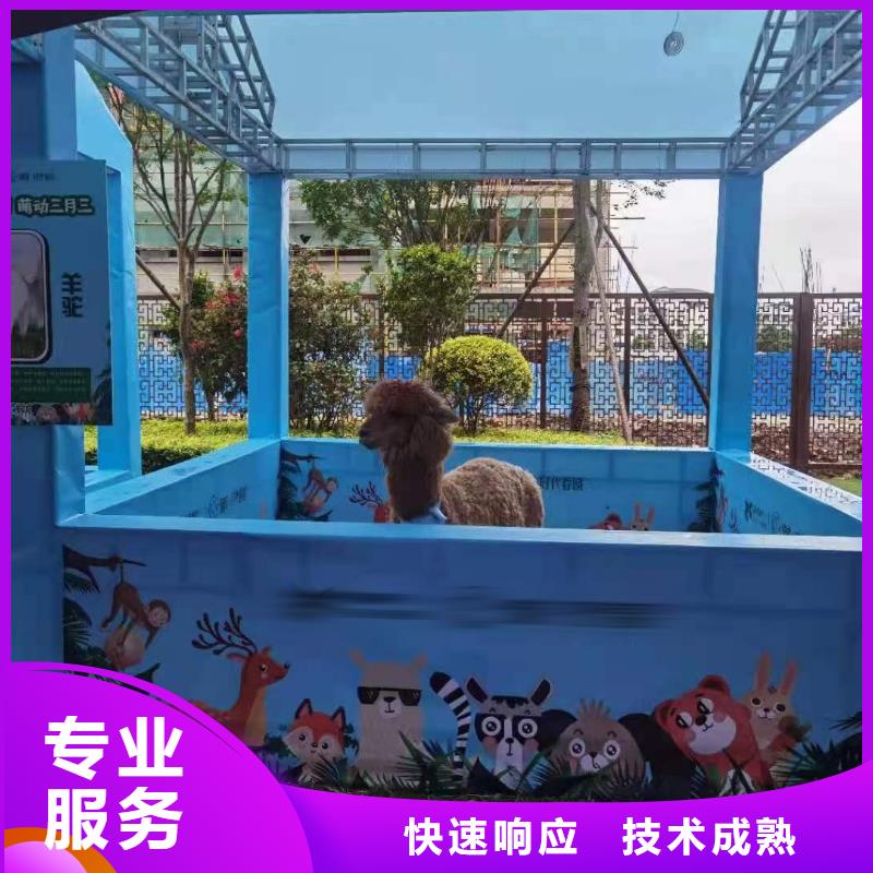 马戏团/羊驼-出租表演鹦鹉口碑公司