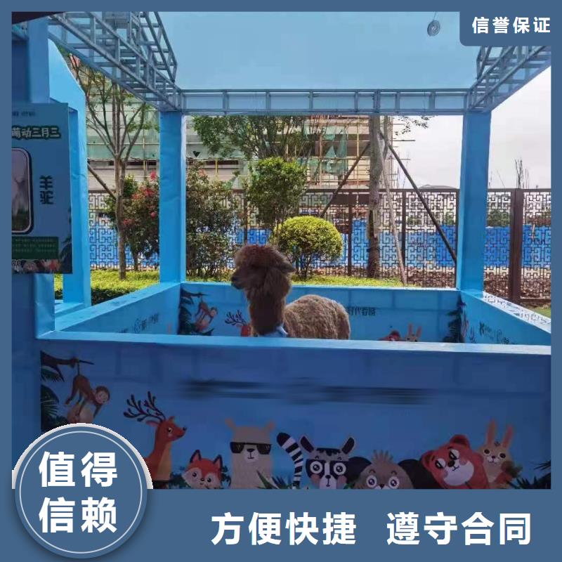 马戏团表演-视频-马戏团表演-青海省海北市黄南|西宁|海东|海西|海南|果洛|玉树【本土】制造商