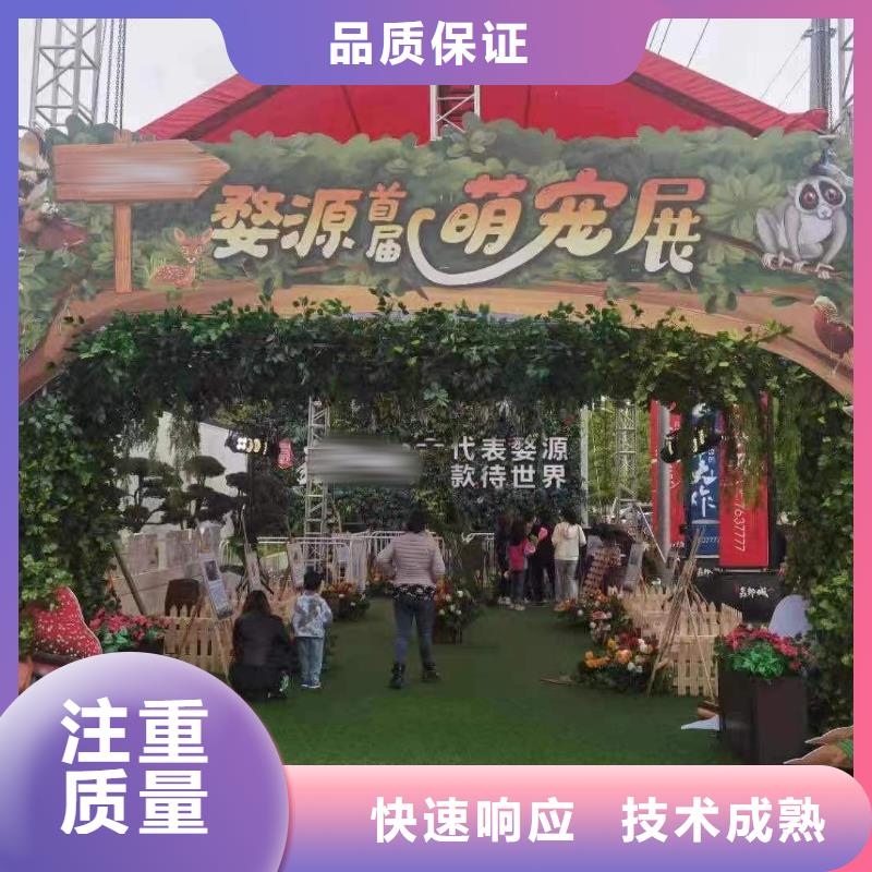 马戏团/羊驼马戏团表演一站搞定