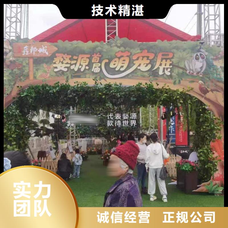 马戏团/羊驼动物展览秀快捷