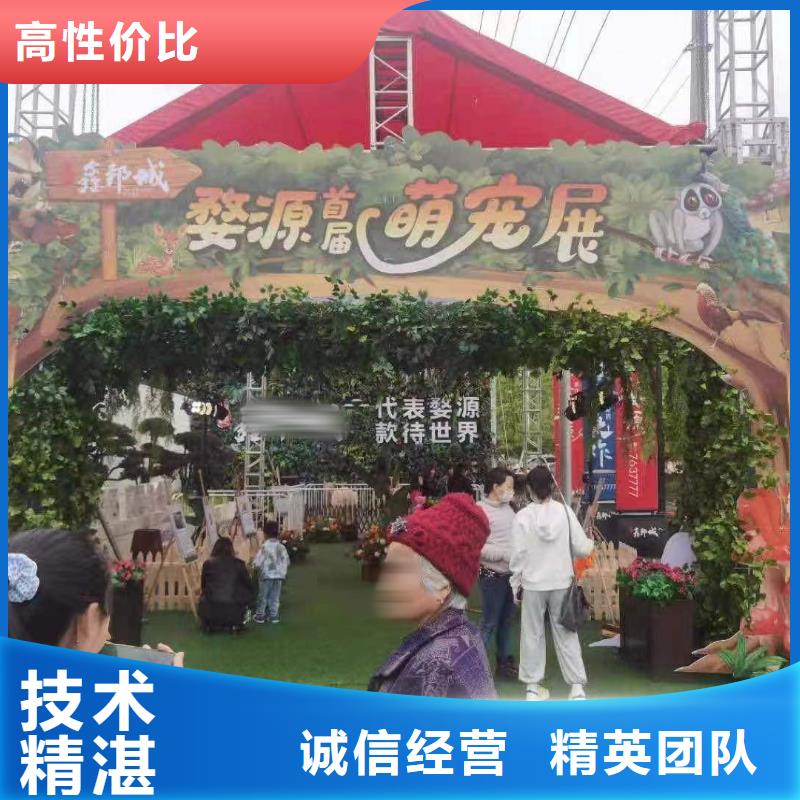 马戏团/羊驼-出租动物表演专业