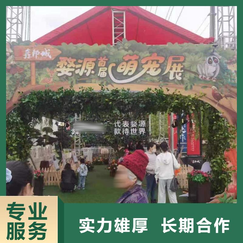 马戏团表演-视频-马戏团表演|云南省曲靖市|陆良|会泽|文山|大理|西双版纳|临沧|怒江