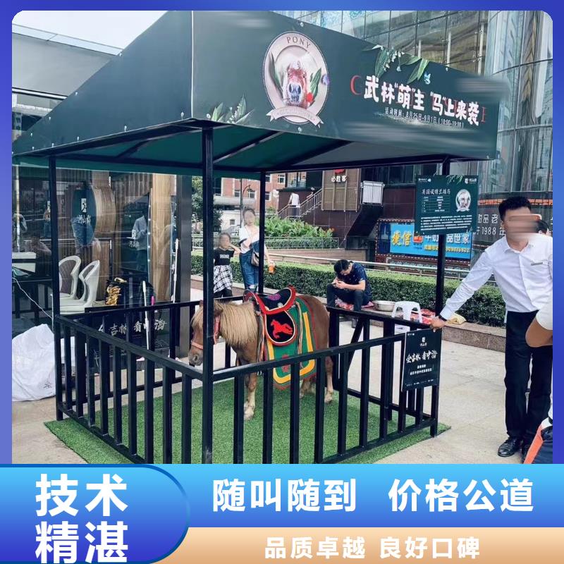 马戏团表演-视频-马戏团表演-安徽省巢湖市池州|马鞍山|阜阳|亳州|安庆(附近)服务商
