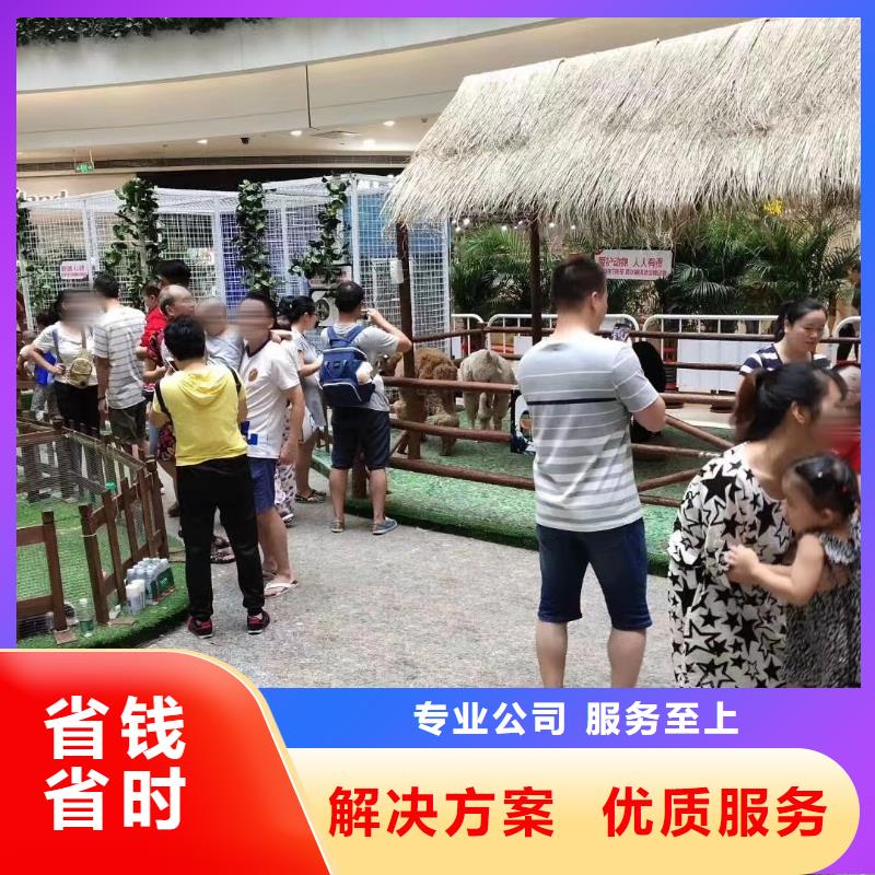 动物租赁一手资源