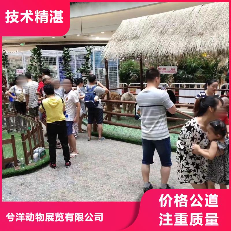 马戏团/羊驼马戏团表演出租租赁口碑商家