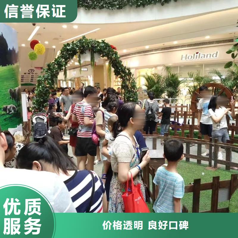 马戏团/羊驼,【活体羊驼租赁】承接