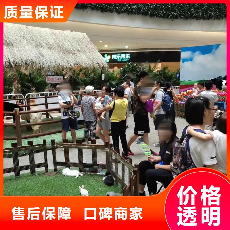 马戏团/羊驼-出租表演鹦鹉口碑公司