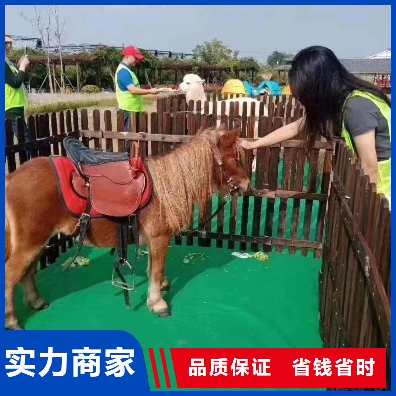 马戏团表演-视频-马戏团表演|云南省曲靖市|陆良|会泽|文山|大理|西双版纳|临沧|怒江