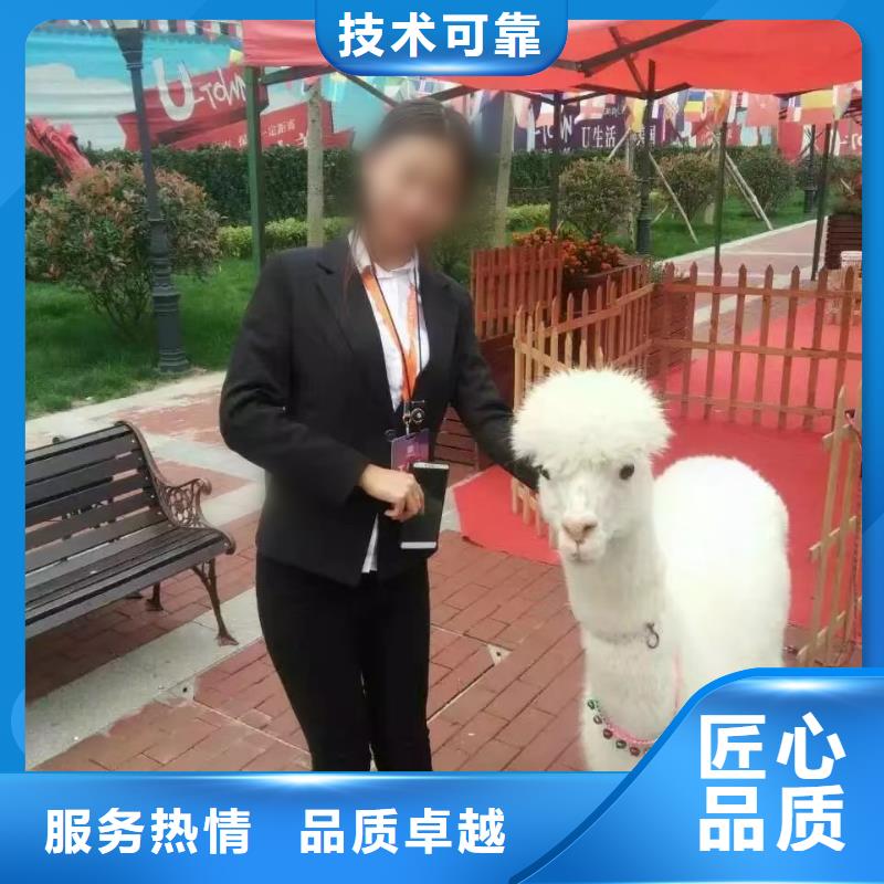 【马戏团/羊驼鹦鹉表演出租价格美丽】
